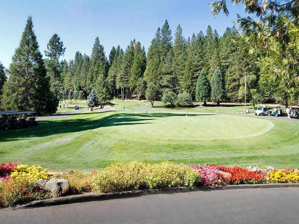 Resort Mountain Retreat