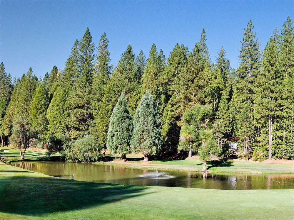 Resort Mountain Retreat Arnold