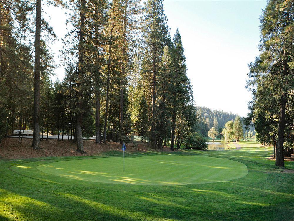 Resort Mountain Retreat Arnold